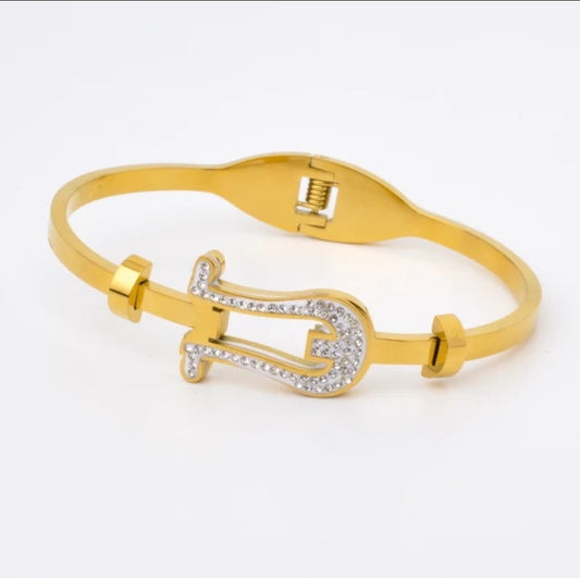 Alluring Bangle