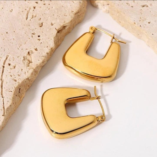 Gleaming Gold Earrings